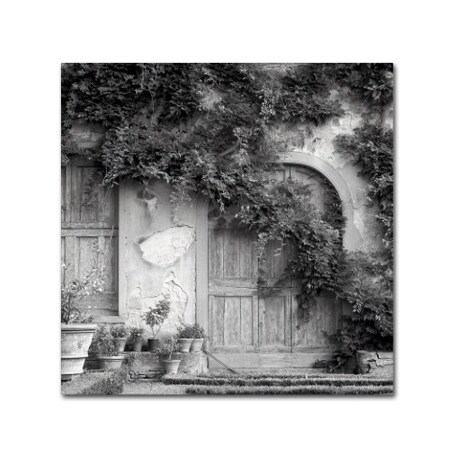 Trademark Fine Art Alan Blaustein 'Tuscany VI' Canvas Art, 18x18 ALI5137-C1818GG